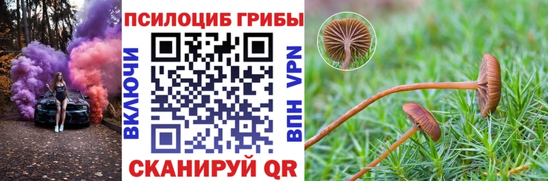 купить  сайты  Болотное  Псилоцибиновые грибы мухоморы 
